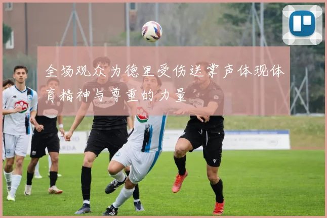 全场观众为德里受伤送掌声体现体育精神与尊重的力量