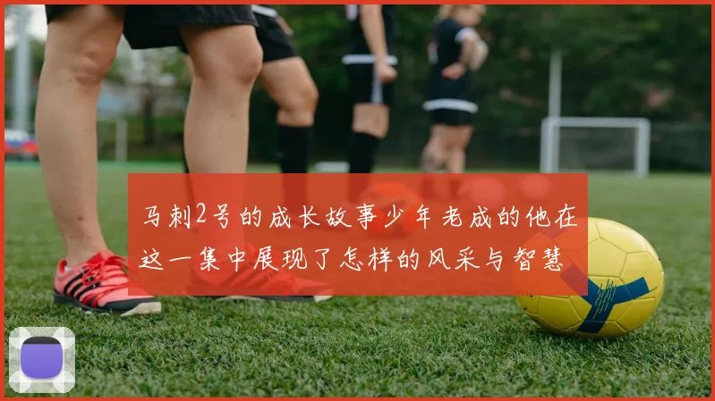马刺2号的成长故事少年老成的他在这一集中展现了怎样的风采与智慧
